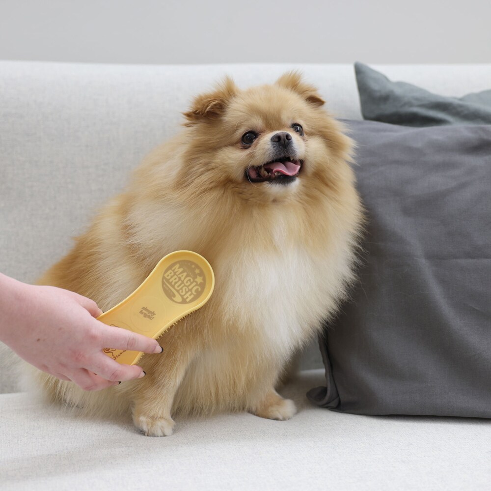 Rubberen minikerriekam Hond  Magic Brush