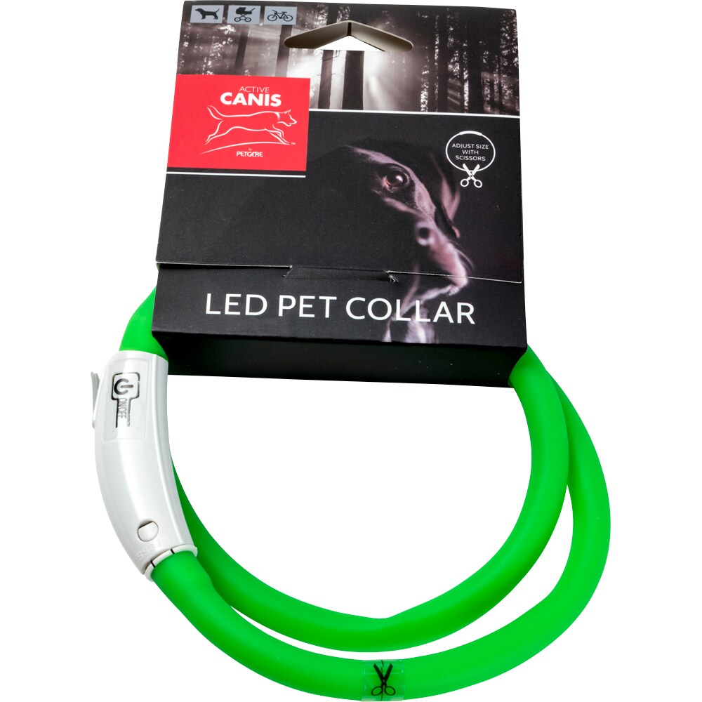 Halsband  LED Pet Collar Active Canis