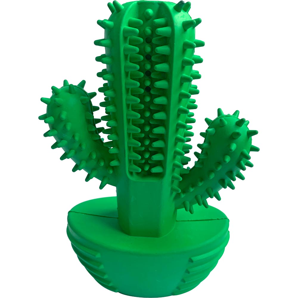 Hondenspeelgoed  Cactus Kayoba