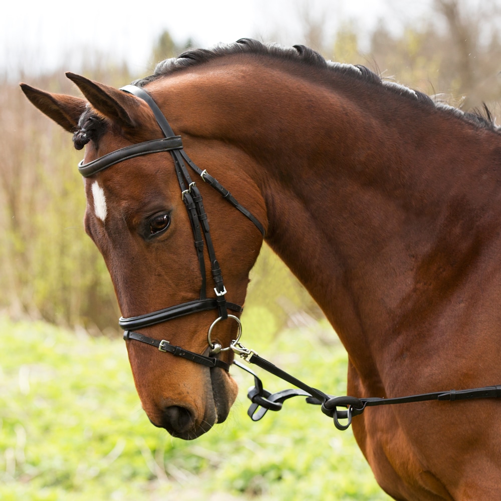 Zijteugels Pak van 2 stuks.  Fairfield®