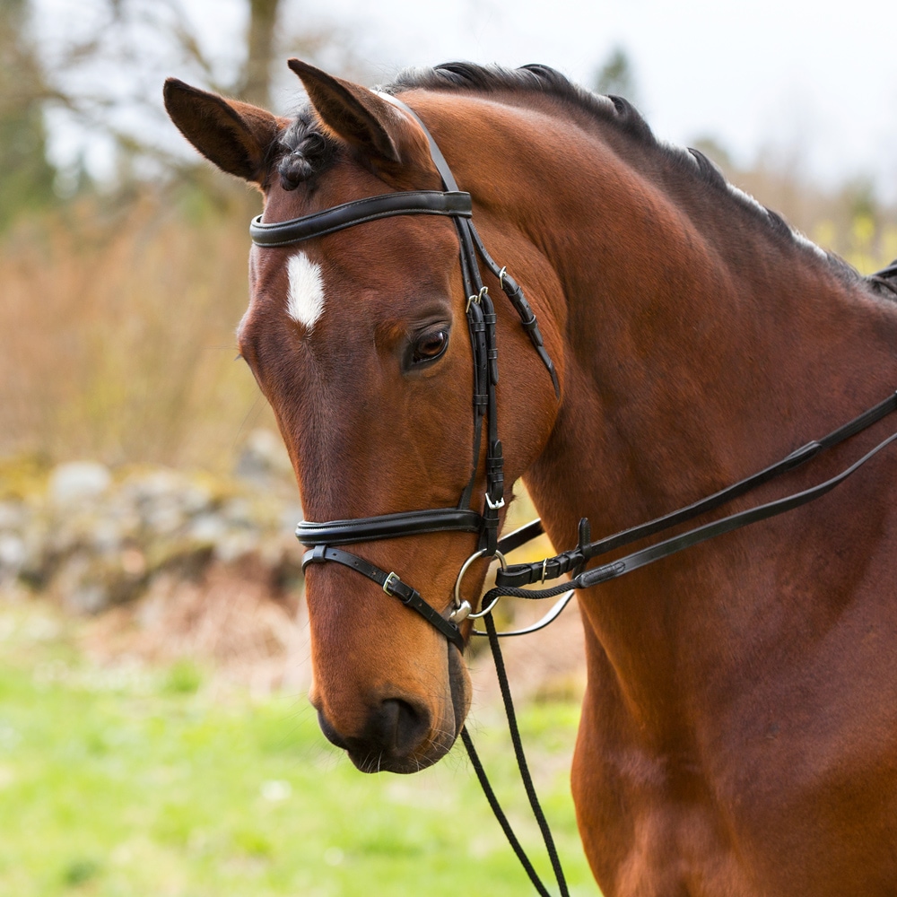 Trekteugels Rond genaaid  Fairfield®