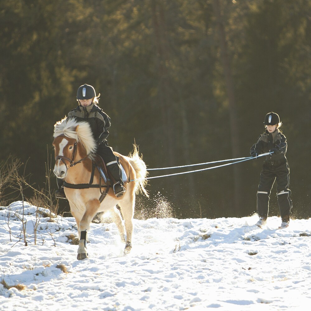 Skituigje Pony  Fairfield®