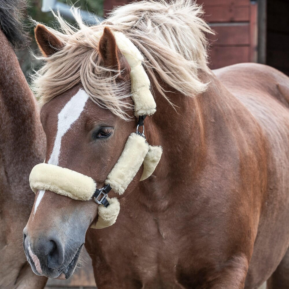 Halstermouwset naar halsters  Fairfield®