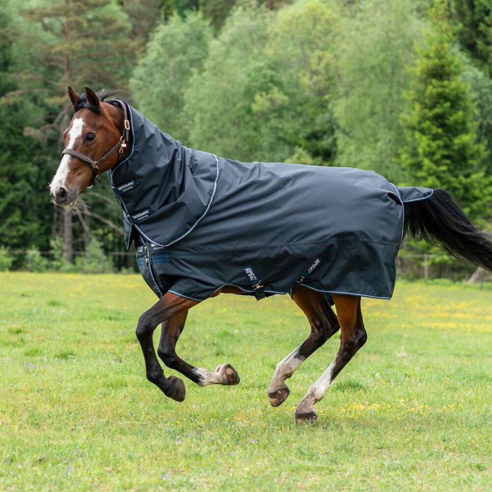 Uitrijdeken  Amigo Hero Ripstop Plus 200 Horseware®