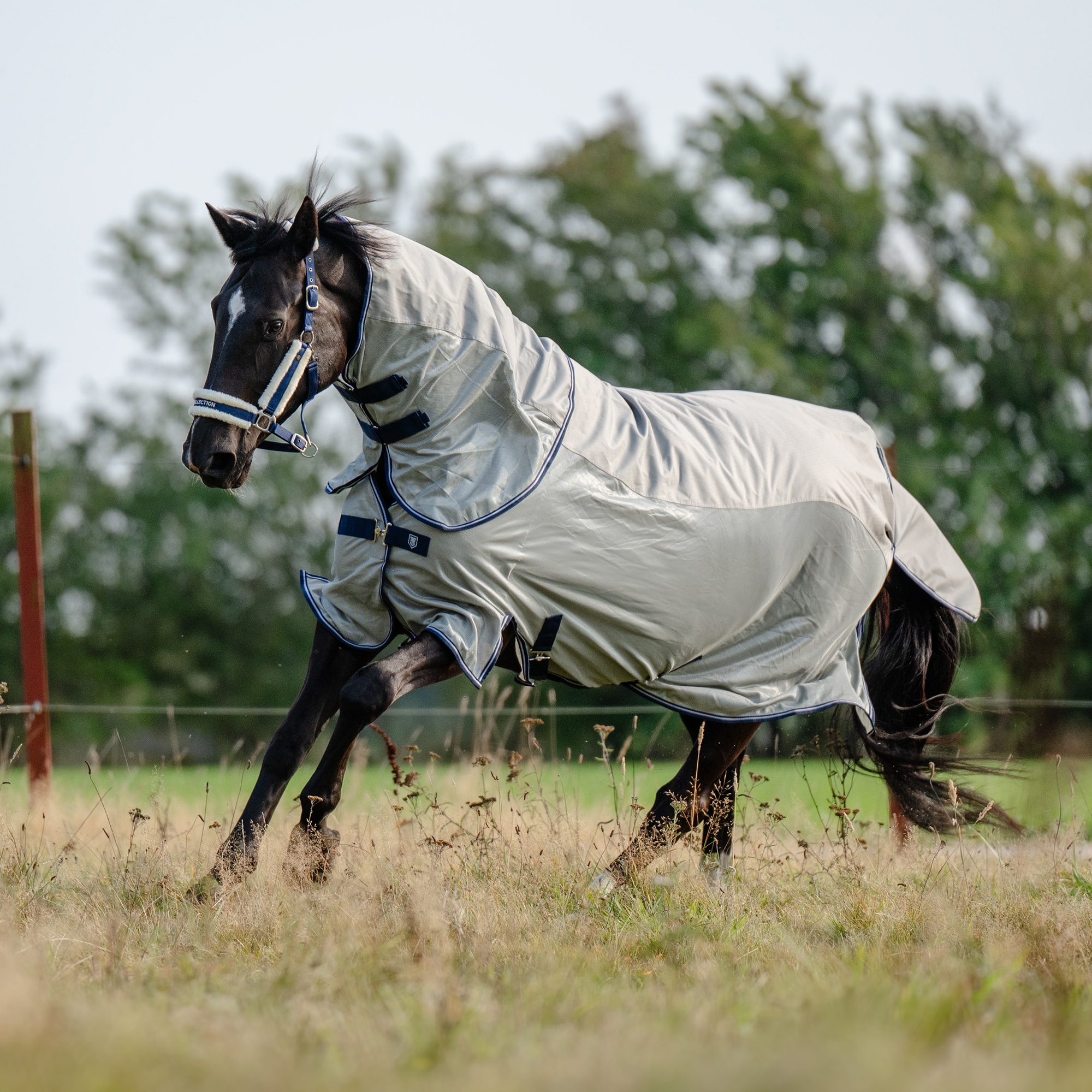 Regendeken  Drizzle Fairfield®