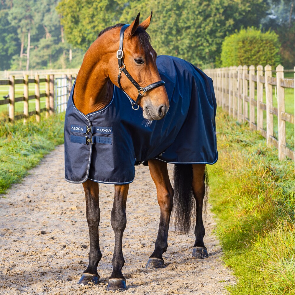 Regendeken  Turnout 0g Aloga Equestrian