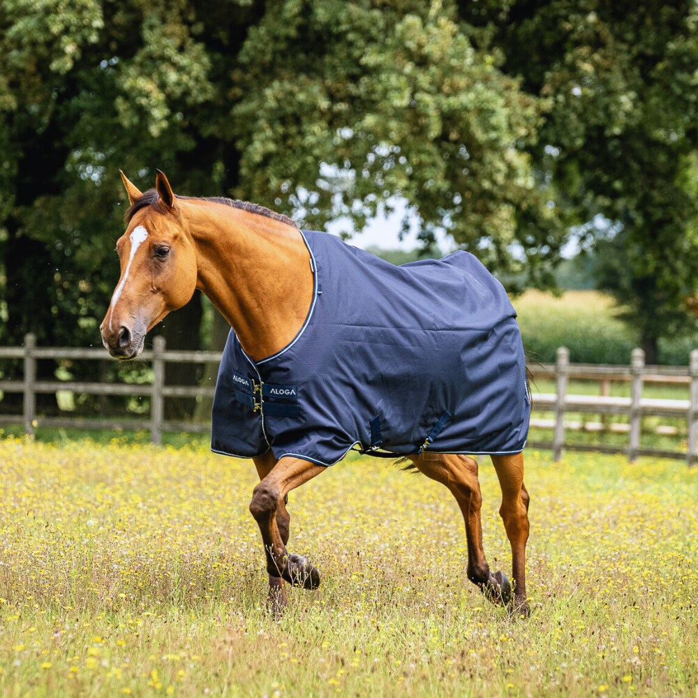 Regendeken  Turnout 0g Aloga Equestrian