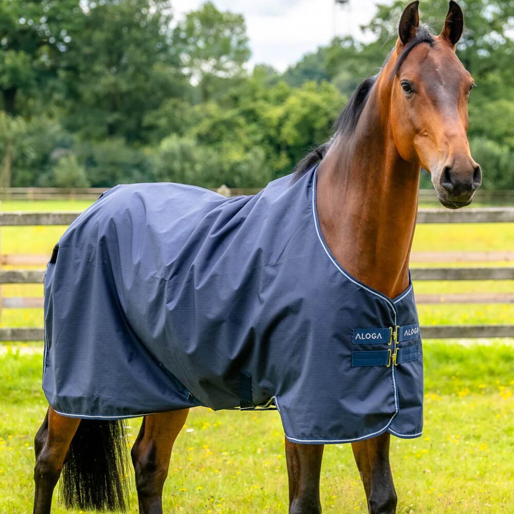 Regendeken  Turnout 0g Aloga Equestrian