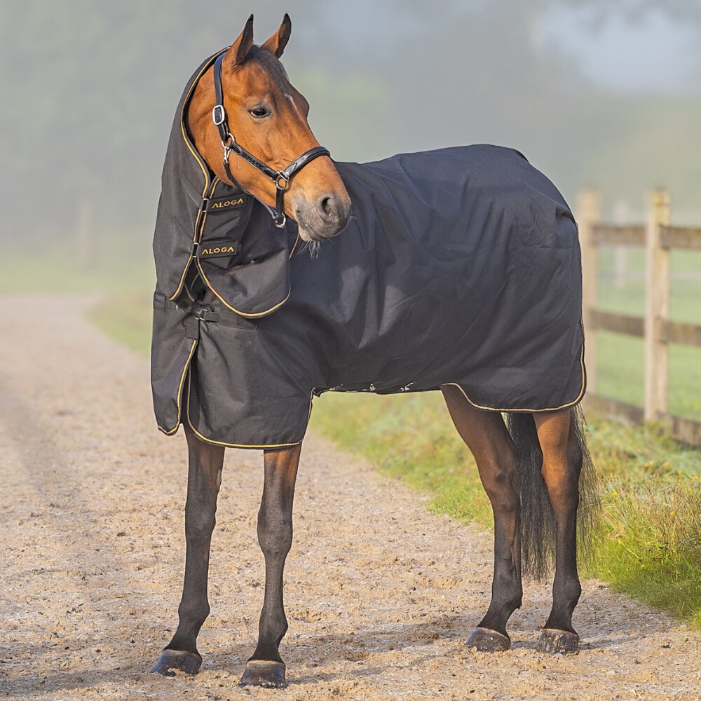 Uitrijdeken  Equestrian Pro Turnout Aloga Equestrian