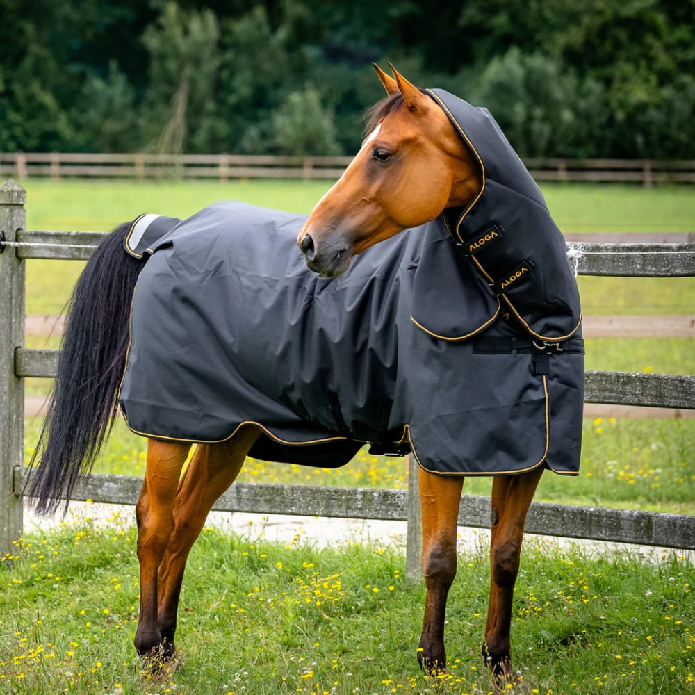 Uitrijdeken  Equestrian Pro Turnout Aloga Equestrian