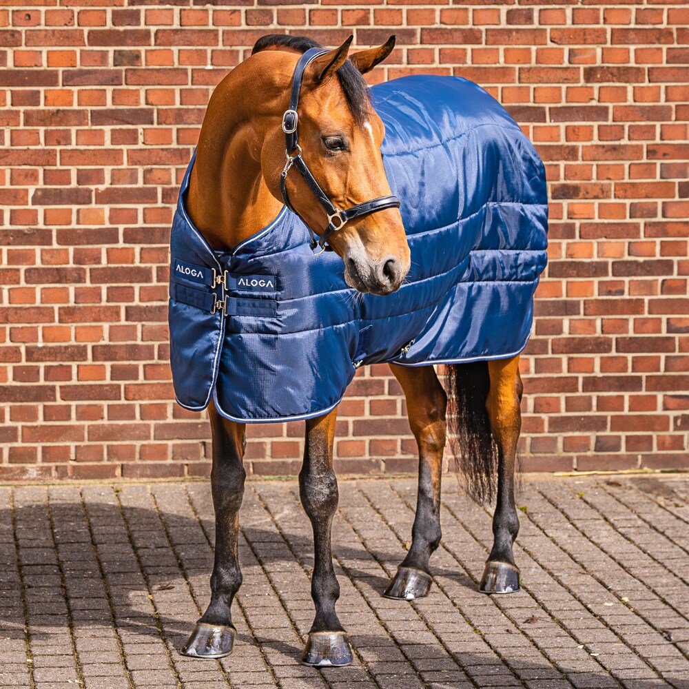 Staldeken  Stable Blanket 150g Aloga Equestrian