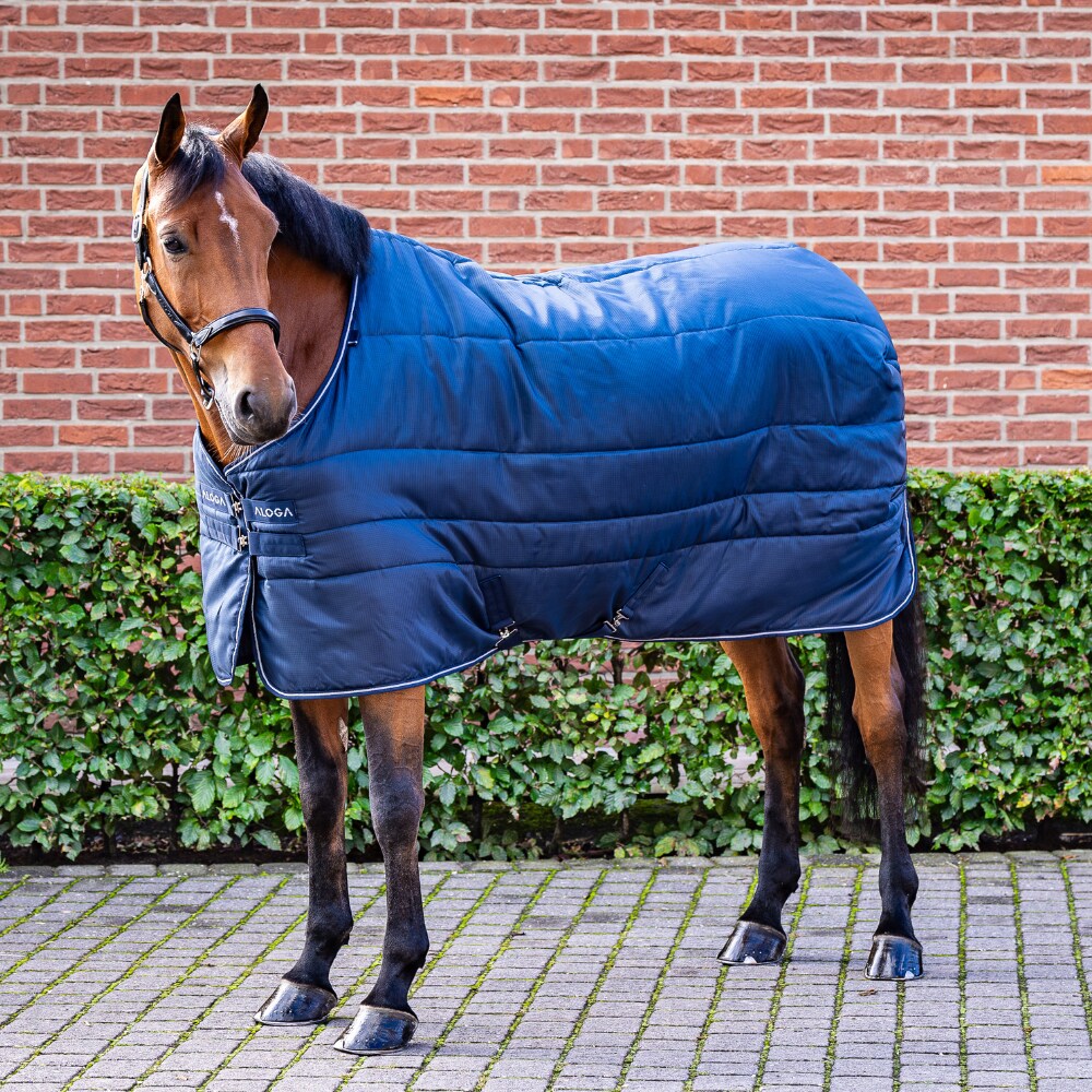 Staldeken  Stable Blanket 150g Aloga Equestrian