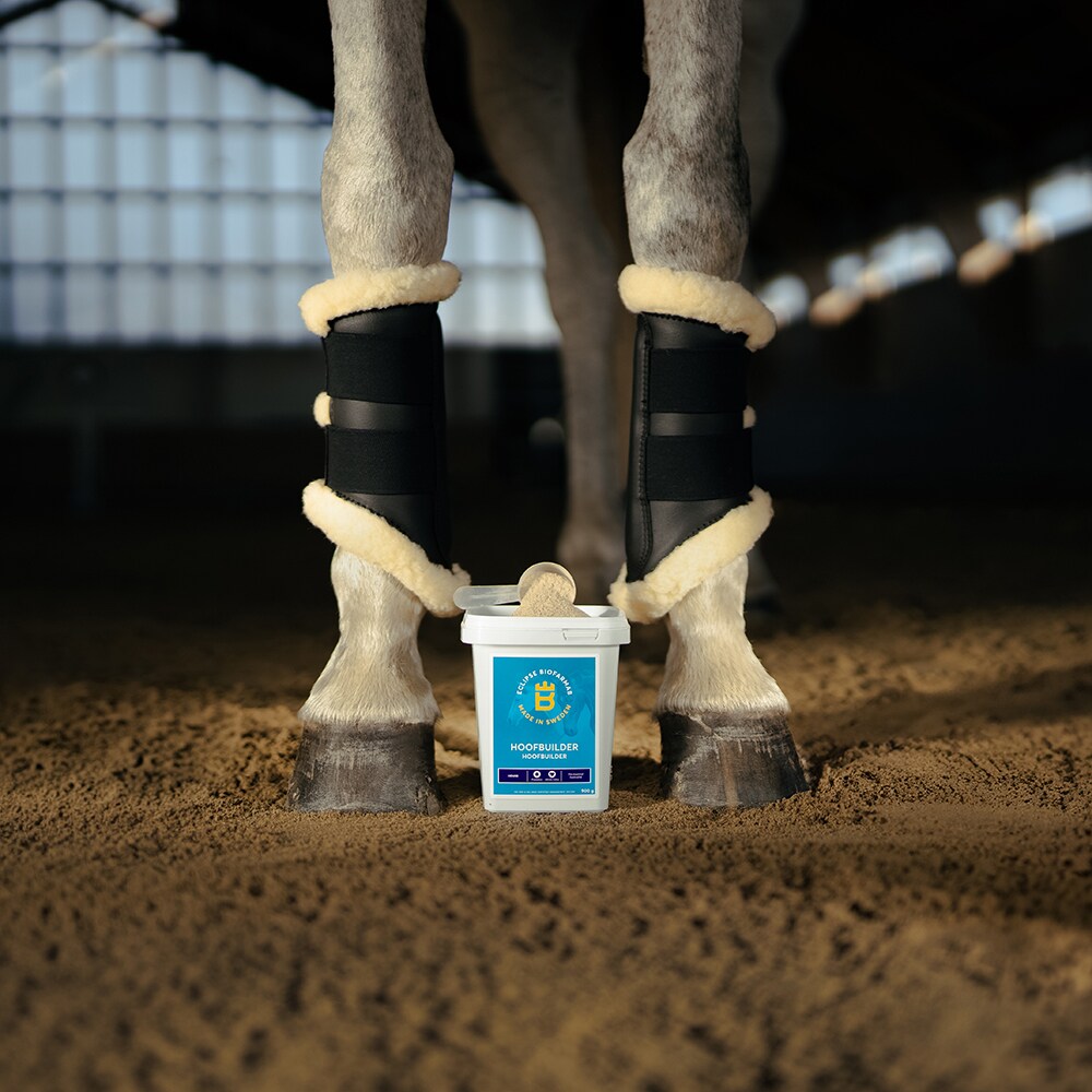 Voedingssupplementen - hoeven  Hoofbuilder Eclipse Biofarmab