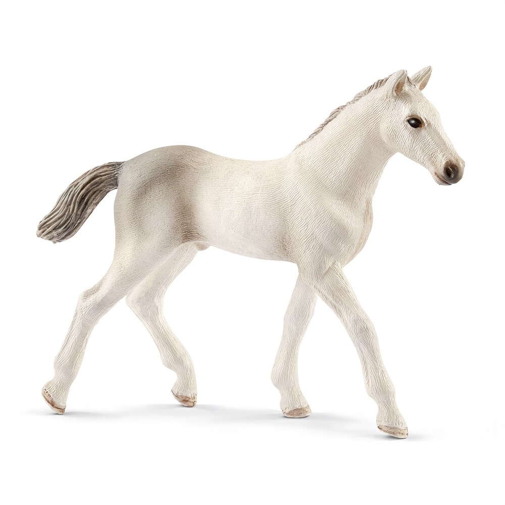 Speelgoed  Holsteiner foal Schleich