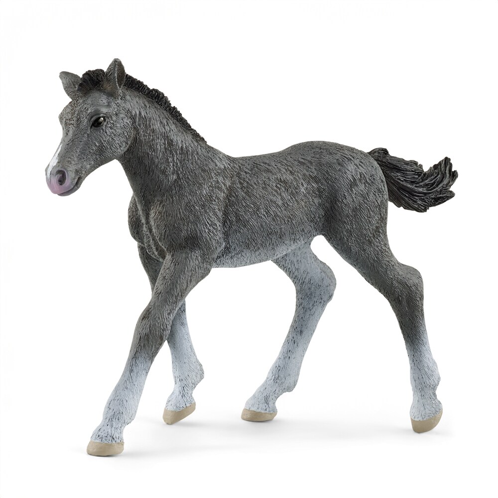 Speelgoed  Trakehner Foal Schleich