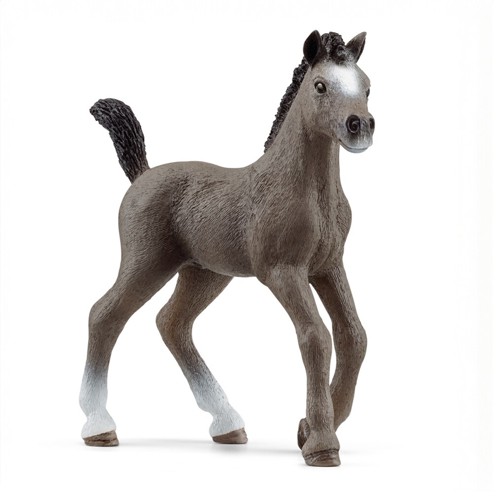 Speelgoed  Cheval de Selle France foal Schleich