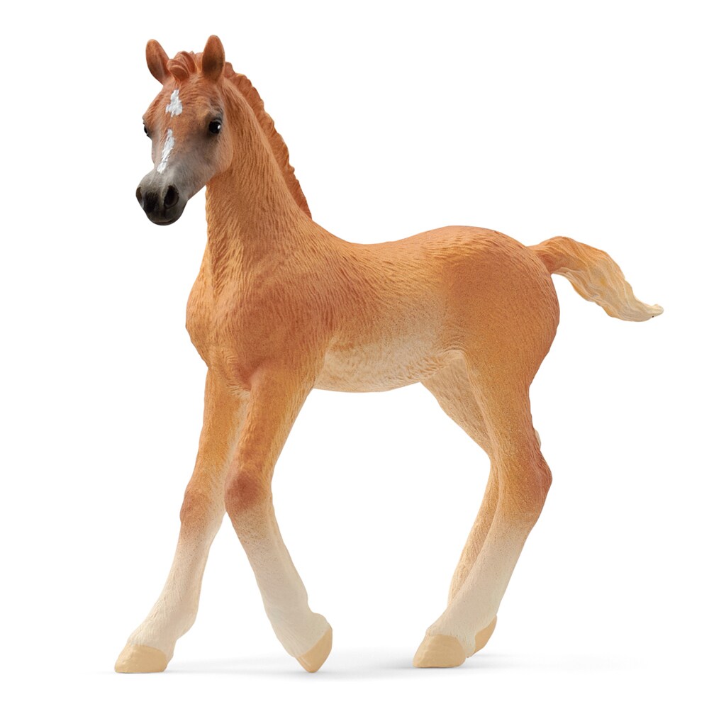 Speelgoed  Arab foal Schleich