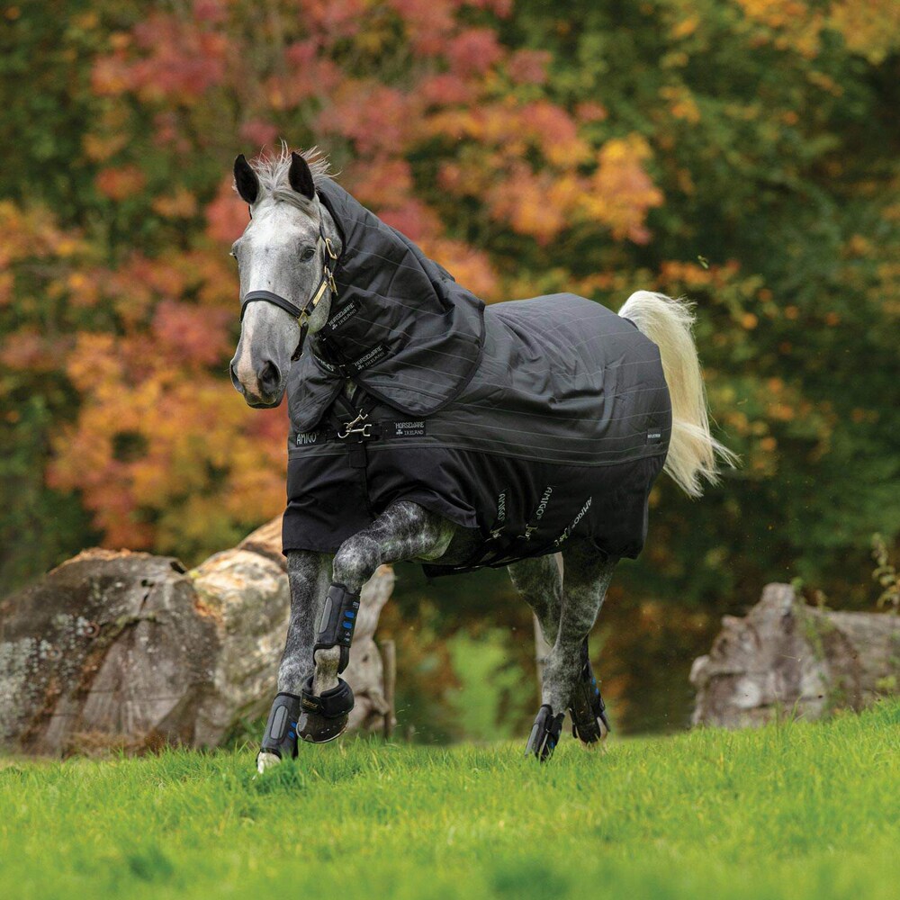 Winterdeken 250 g Amigo Bravo 12 Reflectech Plus Turnout Horseware®